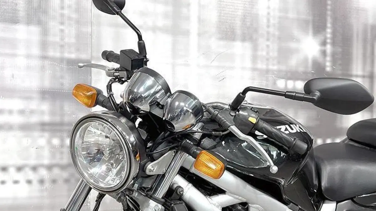 Suzuki SV 650 (1999 - 02)  (8)