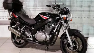 Suzuki GS 500 (2001 - 06) usata