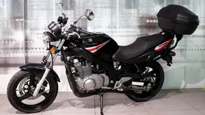 Suzuki GS 500 (2001 - 06)  (5)