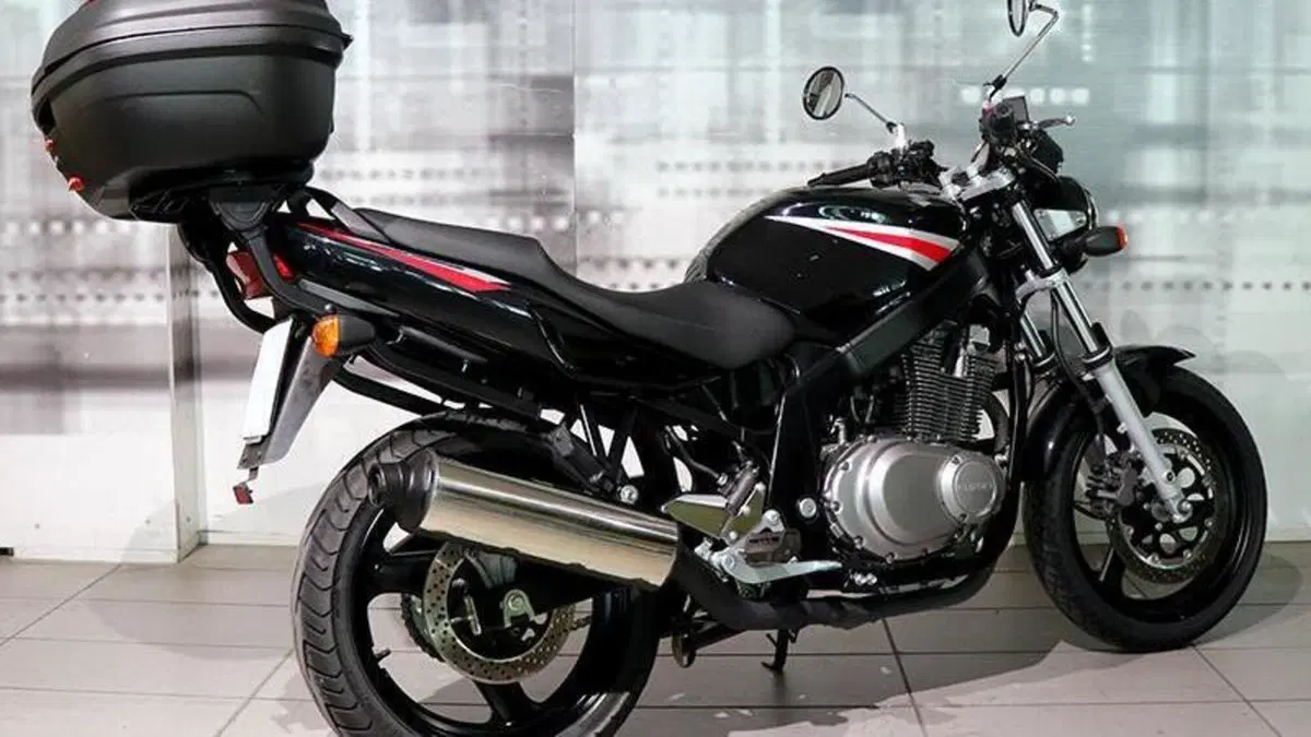 Suzuki GS 500 (2001 - 06)  (6)