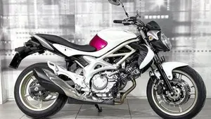 Suzuki Gladius 650 SFV (2009 - 15) 