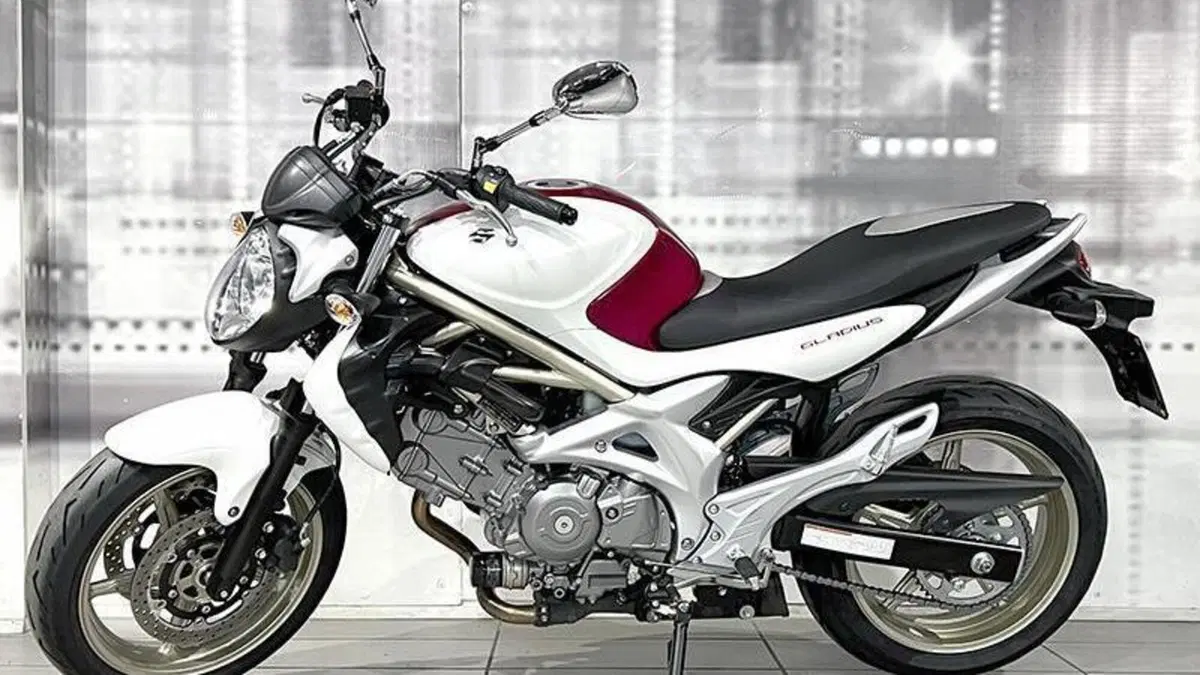 Suzuki Gladius 650 SFV (2009 - 15)  (6)