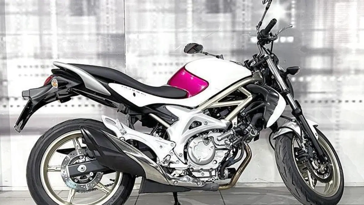Suzuki Gladius 650 SFV (2009 - 15)  (7)