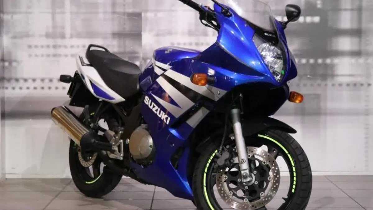 Suzuki GS 500 F (2004 - 06) 
