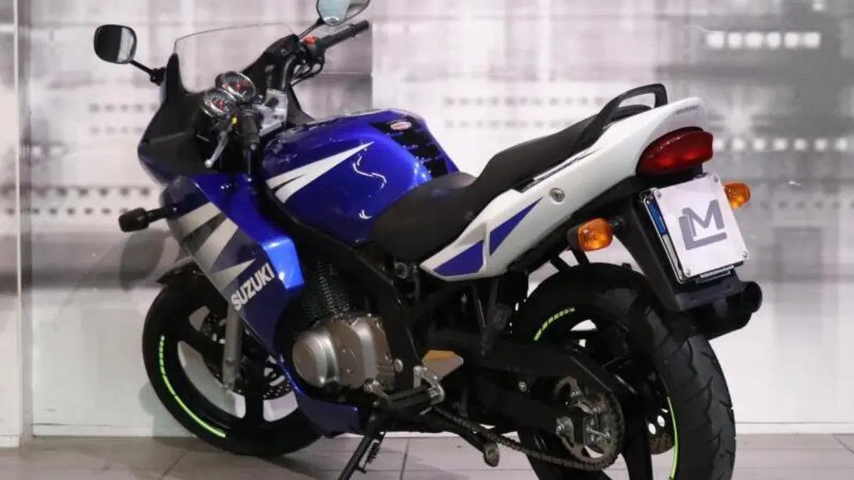 Suzuki GS 500 F (2004 - 06)  (2)
