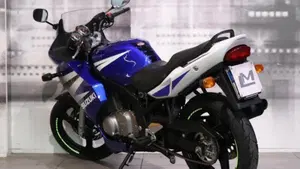 Suzuki GS 500 F (2004 - 06)  (2)