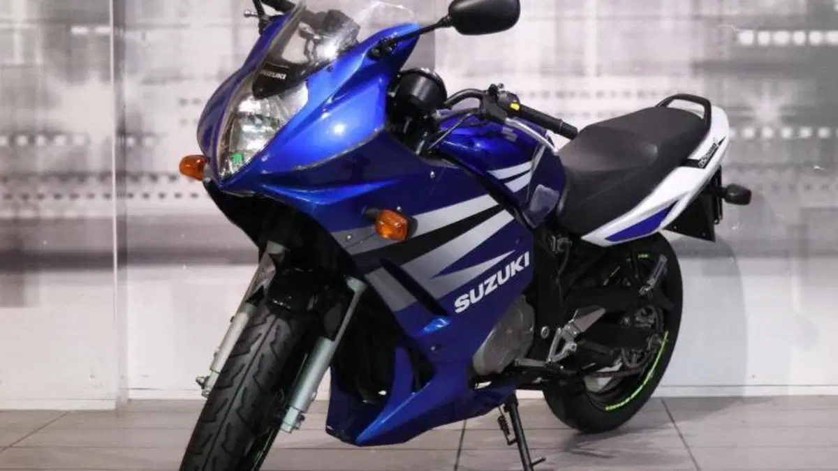 Suzuki GS 500 F (2004 - 06)  (7)