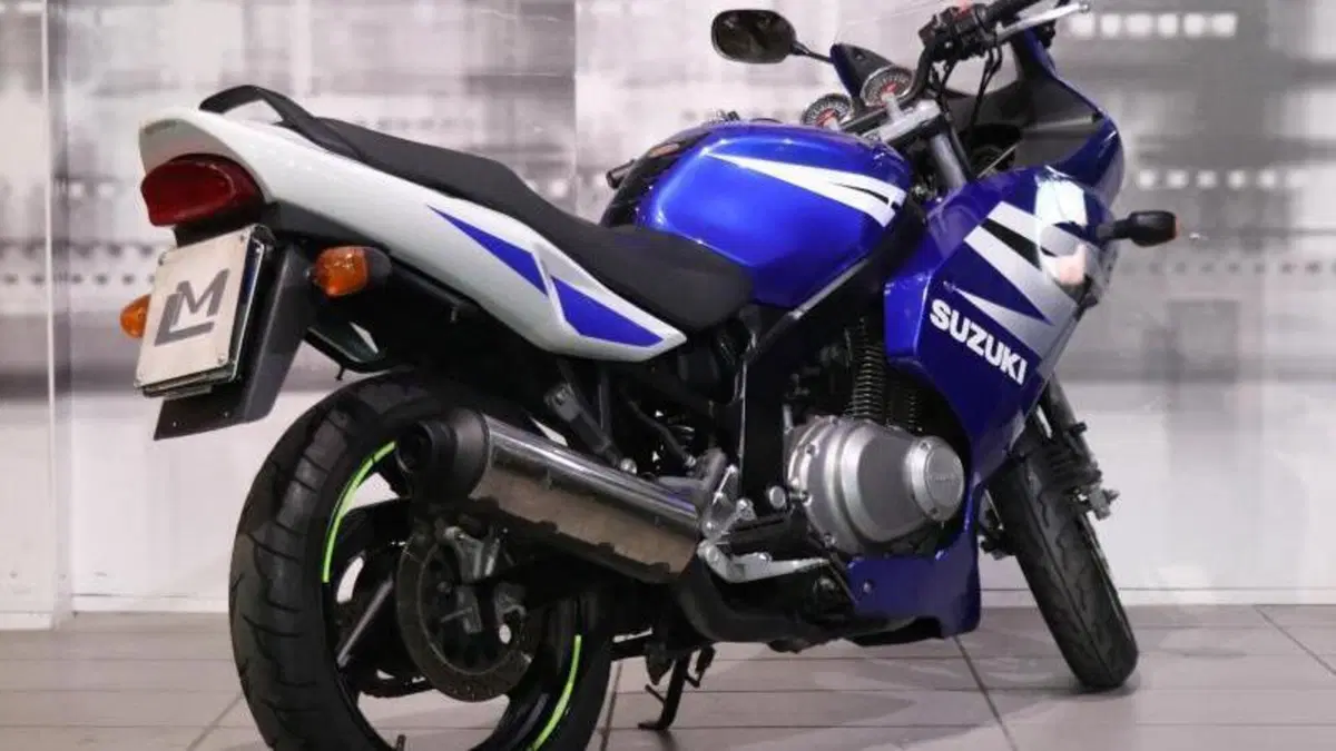 Suzuki GS 500 F (2004 - 06)  (8)