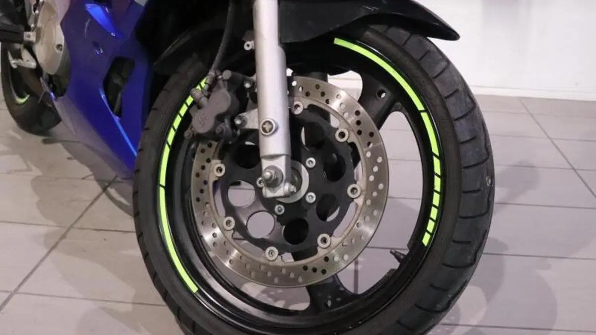 Suzuki GS 500 F (2004 - 06)  (9)