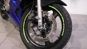 Suzuki GS 500 F (2004 - 06)  (9)
