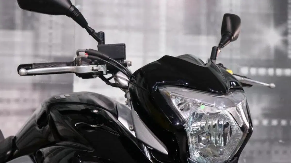 Suzuki Inazuma 250 (2012 - 17)  (4)