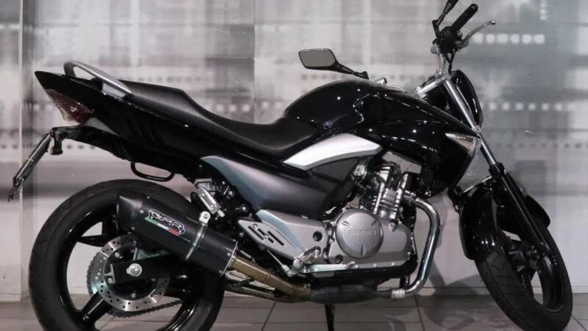 Suzuki Inazuma 250 (2012 - 17)  (8)