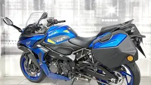 Suzuki GSX-S1000 (2021 - 25)  (2)