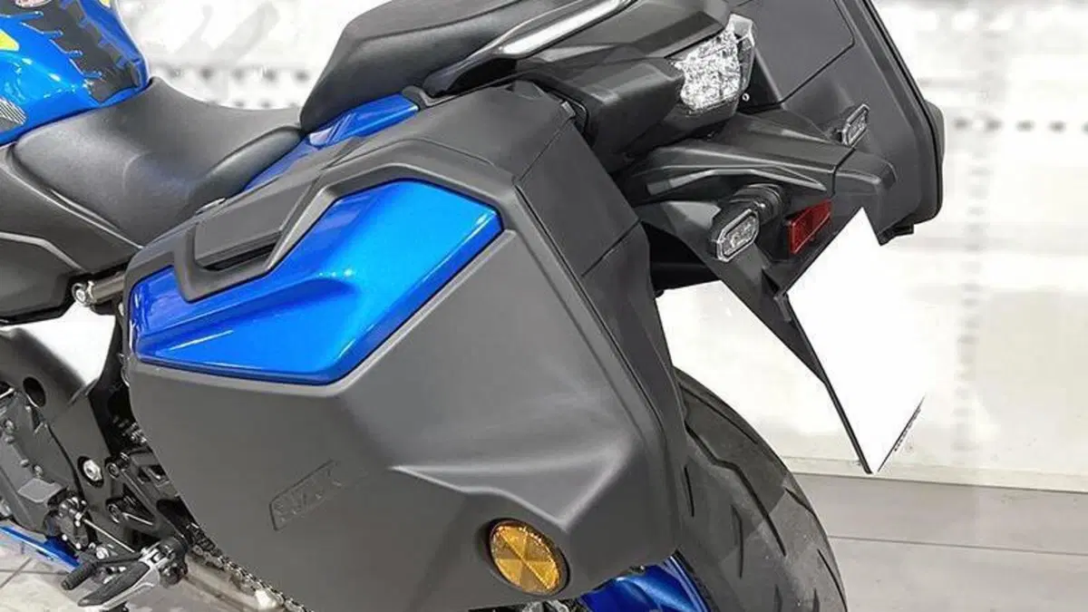 Suzuki GSX-S1000 (2021 - 25)  (5)