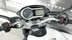MV Agusta Brutale 990 R (2009 - 12)  (5)
