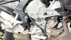 MV Agusta Brutale 800 (2012 - 15)  (3)