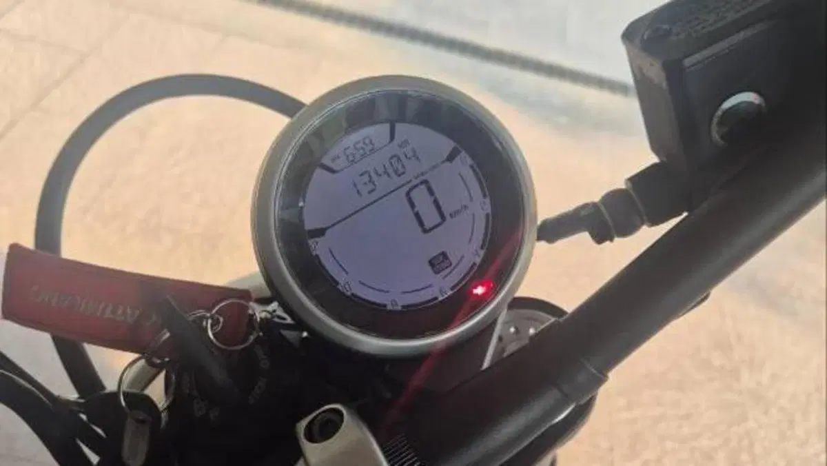Ducati Scrambler 800 Classic (2015 - 16)  (5)