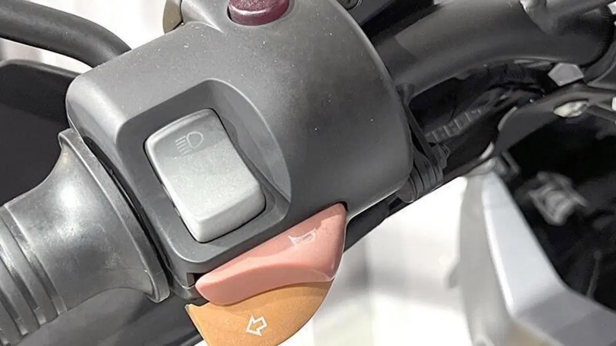 Bmw R 1150 GS (1999 - 03)  (3)