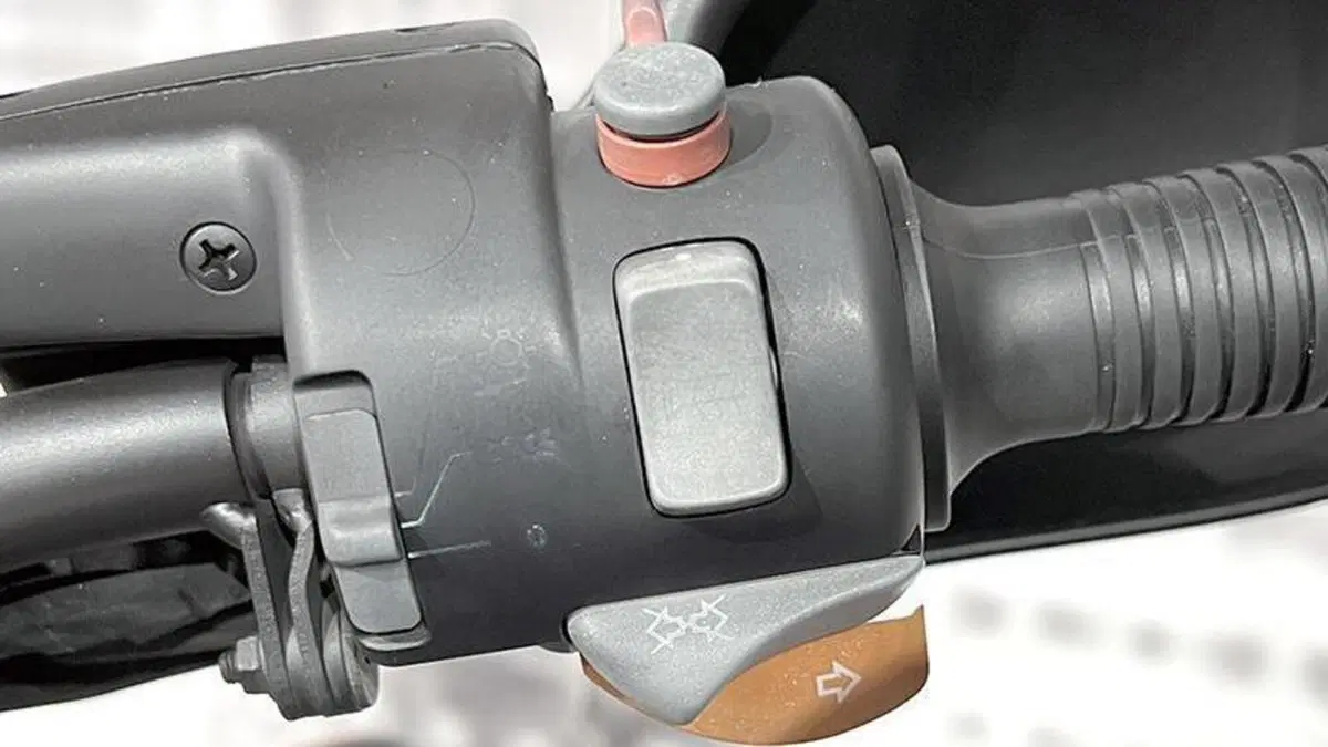 Bmw R 1150 GS (1999 - 03)  (4)
