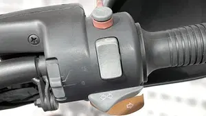 Bmw R 1150 GS (1999 - 03)  (4)