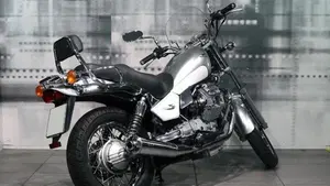 Moto Guzzi Nevada 750 (2002 - 06)  (8)