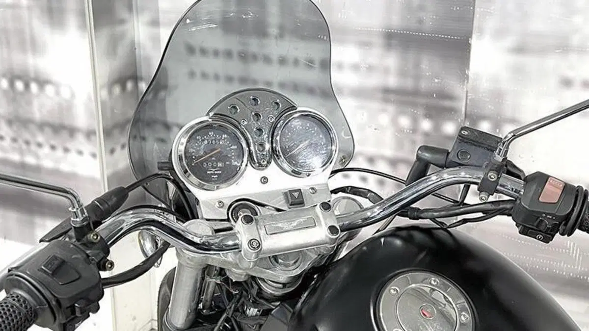 Moto Guzzi Nevada 750 (1992 - 02)  (5)