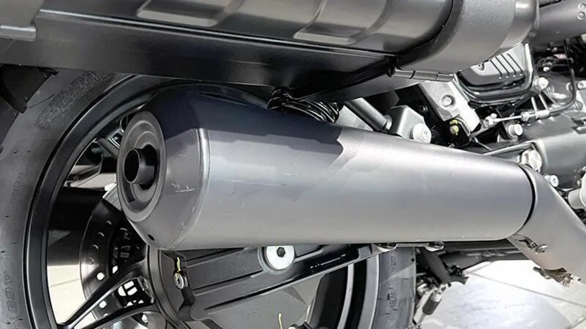 Moto Guzzi V7 Stone (2021 - 24)  (5)