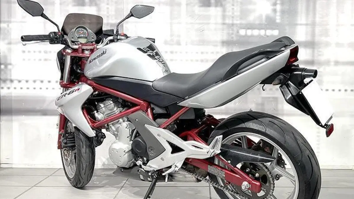 Kawasaki ER-6N (2005 - 08)  (2)