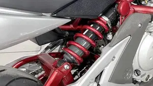 Kawasaki ER-6N (2005 - 08)  (4)