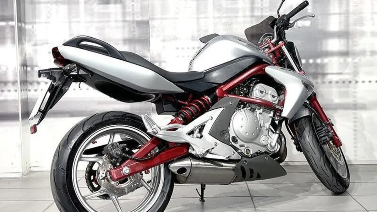 Kawasaki ER-6N (2005 - 08)  (8)