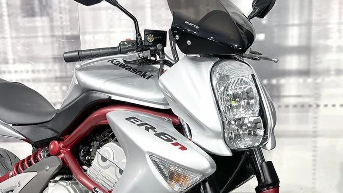 Kawasaki ER-6N (2005 - 08)  (9)