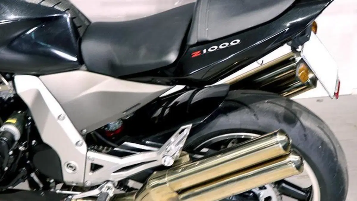 Kawasaki Z 1000 (2003 - 06)  (6)