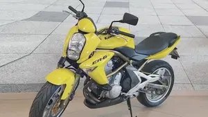 Kawasaki ER-6N (2005 - 08)  (2)