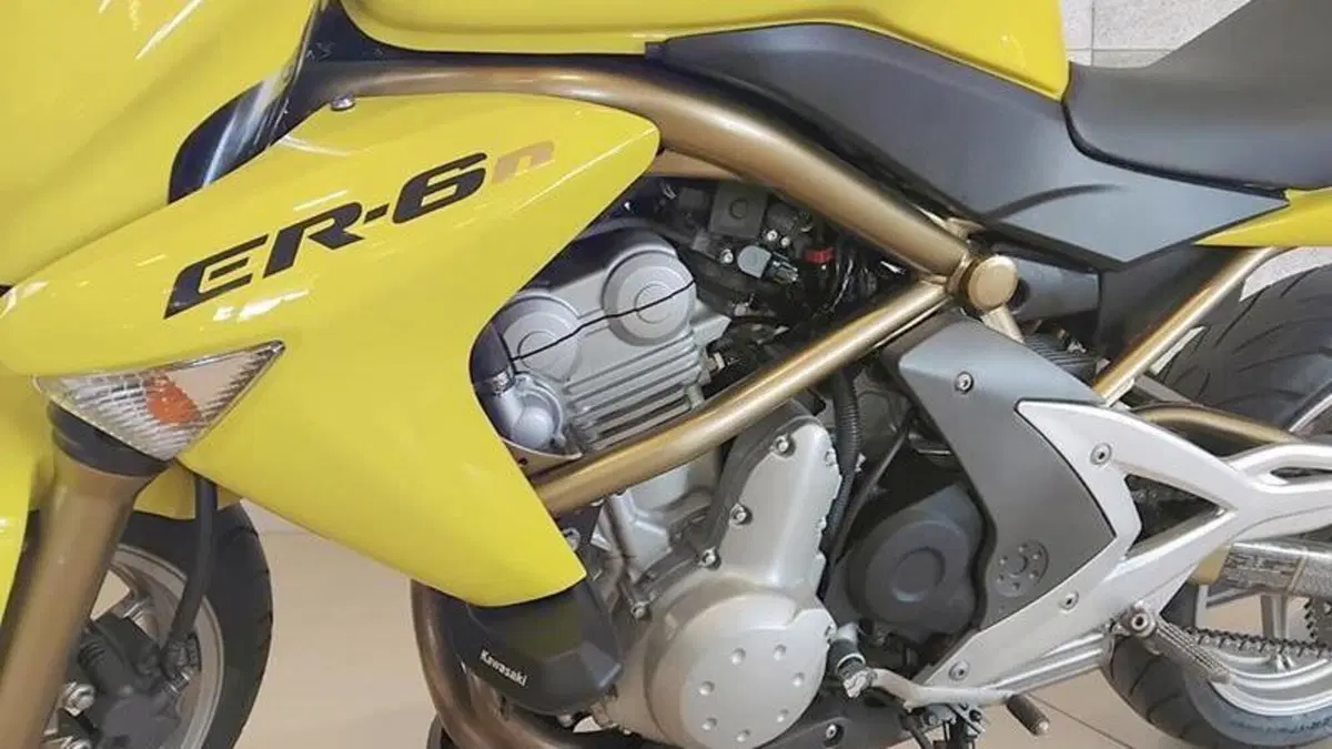 Kawasaki ER-6N (2005 - 08)  (3)