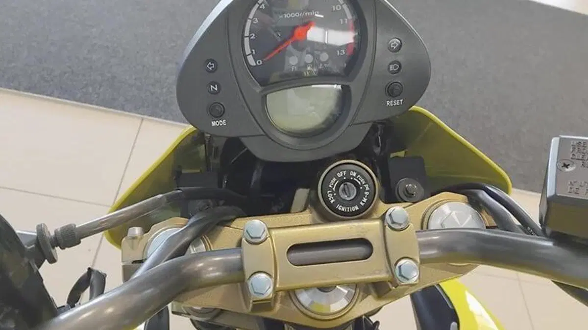 Kawasaki ER-6N (2005 - 08)  (6)
