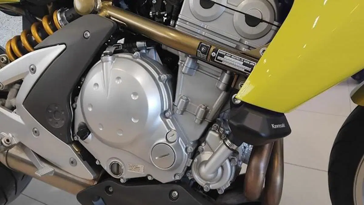 Kawasaki ER-6N (2005 - 08)  (9)
