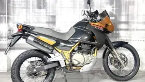 Kawasaki KLE 500 (2005 - 06)  (8)