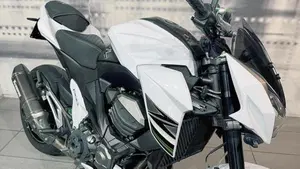 Kawasaki Z 800 ABS (2012 - 16)  (7)