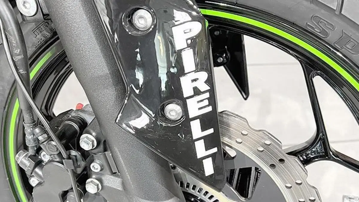 Kawasaki Ninja 300 ABS (2012 - 16)  (5)