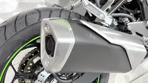 Kawasaki Ninja 300 ABS (2012 - 16)  (9)