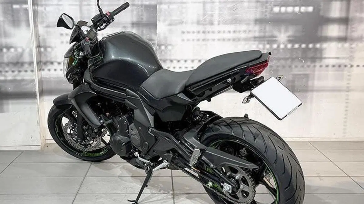 Kawasaki ER-6N ABS (2012 - 16)  (2)