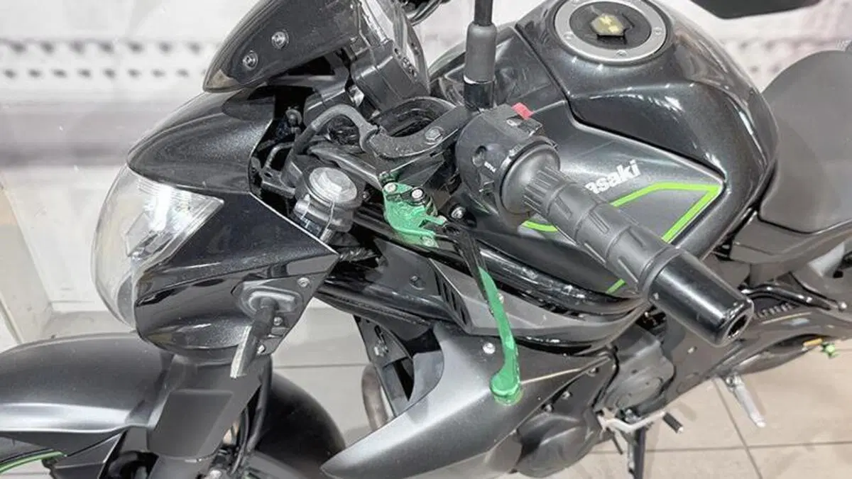 Kawasaki ER-6N ABS (2012 - 16)  (4)