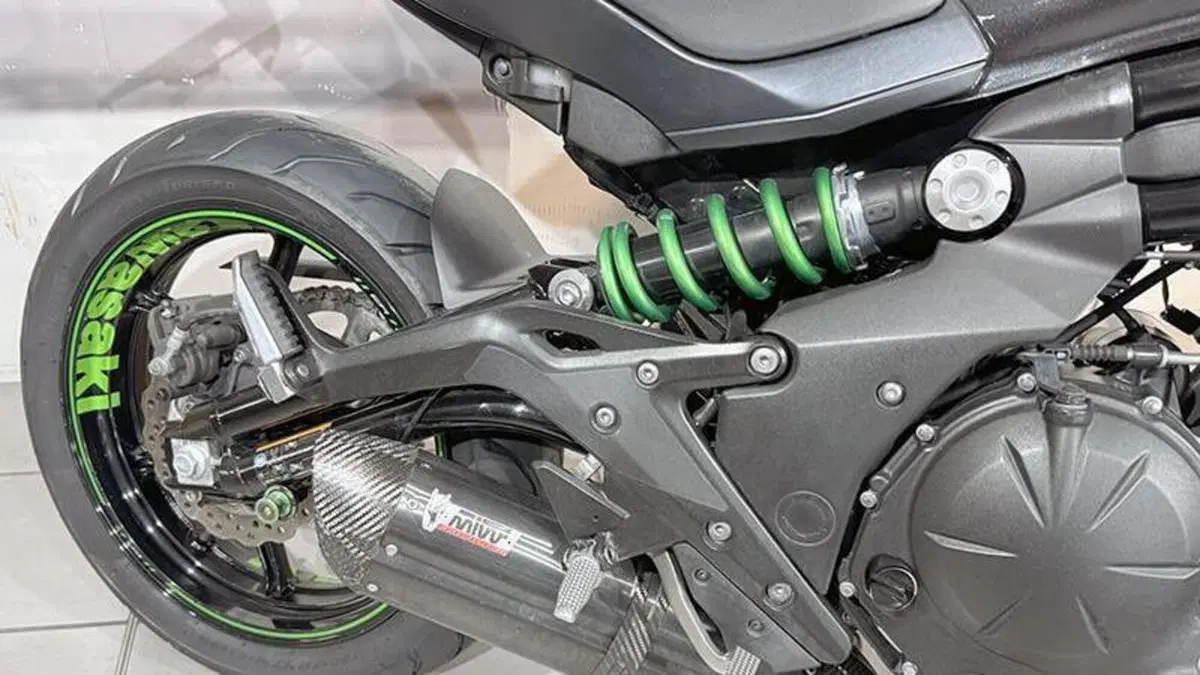 Kawasaki ER-6N ABS (2012 - 16)  (5)