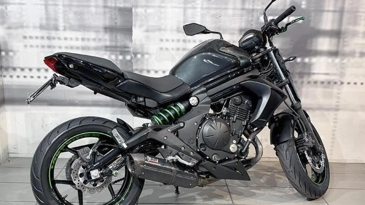 Kawasaki ER-6N ABS (2012 - 16)  (8)