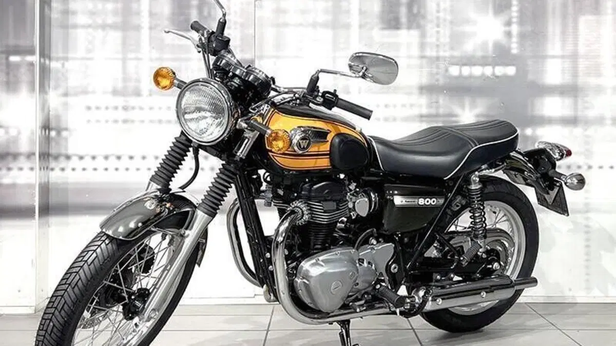 Kawasaki W 800 (2010 - 17)  (6)