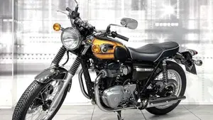 Kawasaki W 800 (2010 - 17)  (6)