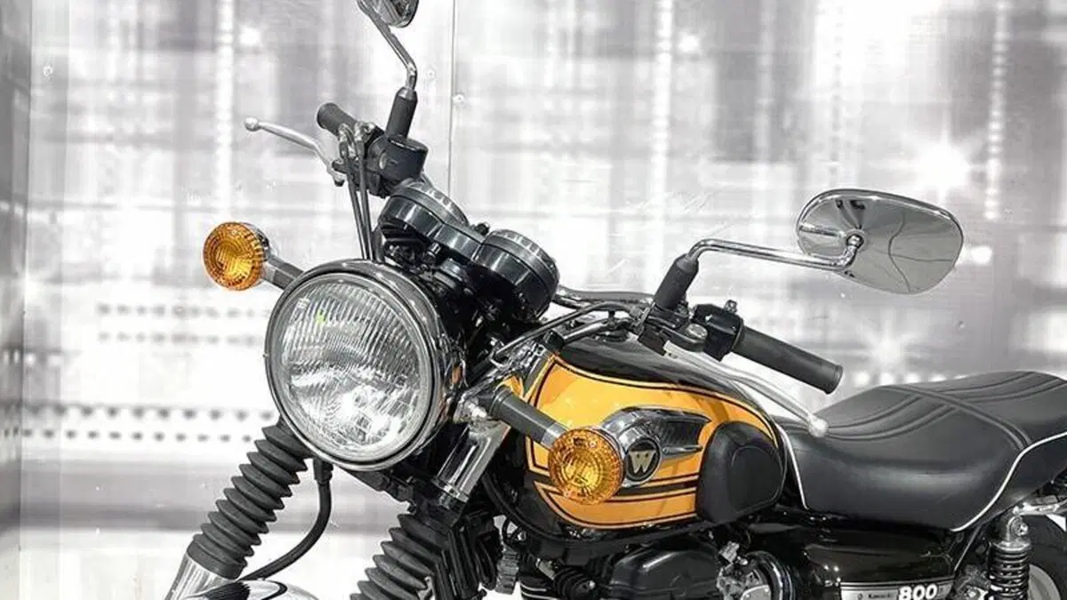 Kawasaki W 800 (2010 - 17)  (8)