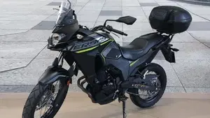 Kawasaki Versys-X 300 (2017 - 20)  (2)