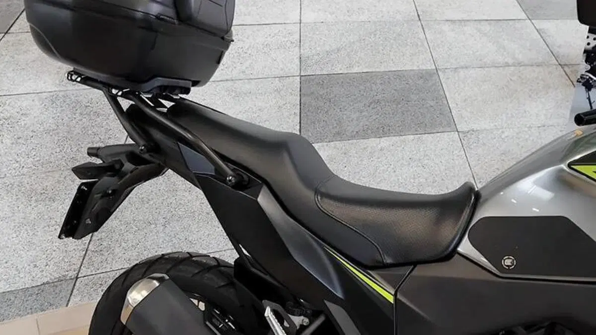Kawasaki Versys-X 300 (2017 - 20)  (4)