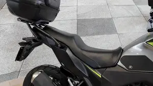 Kawasaki Versys-X 300 (2017 - 20)  (4)